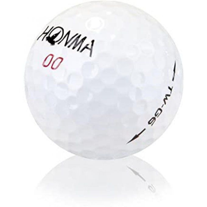 Honma (TW-G1, TW-G6) 